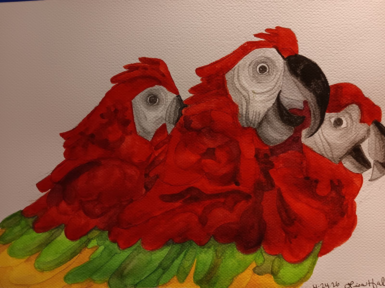 Parrot paintings