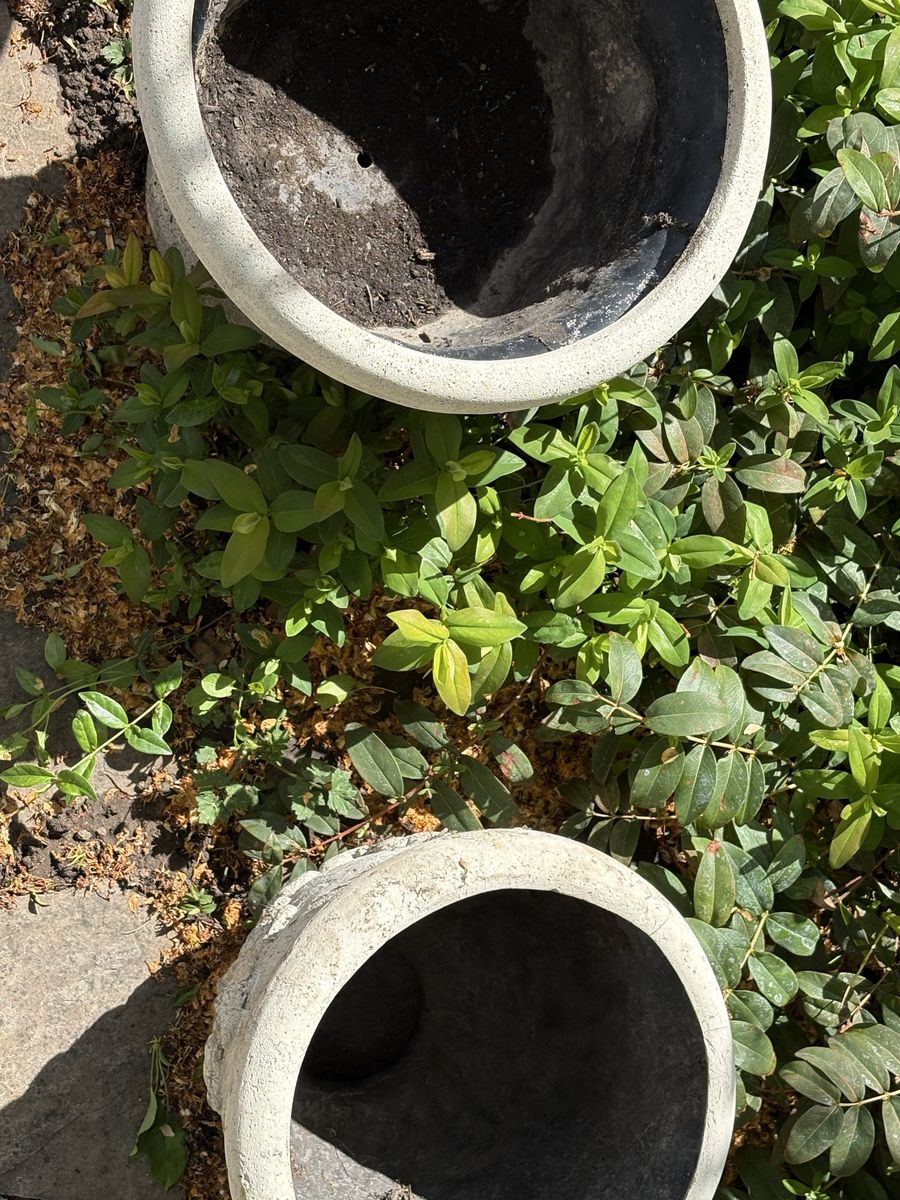 Large Outdoor Planters