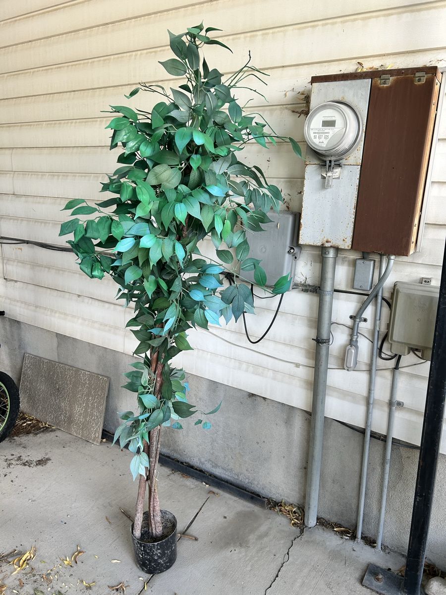 Artificial Ficus Tree - Faux Plant Decor