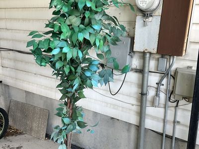 Artificial Ficus Tree - Faux Plant Decor