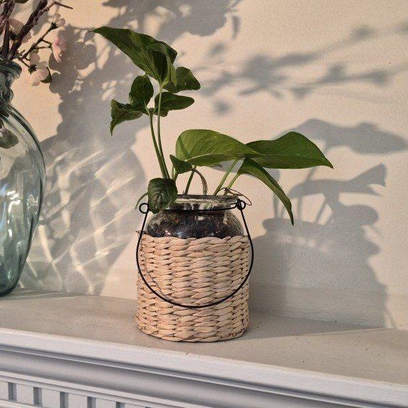 Woven Basket Glass Jar Planter