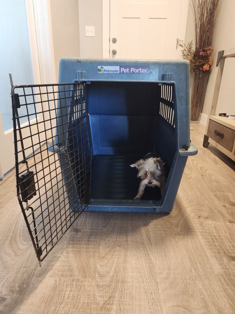 XL Petmate Pet Porter Plastic Kennel Dog Crate