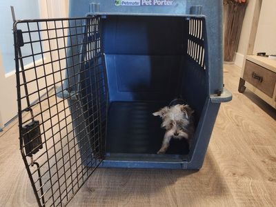 XL Petmate Pet Porter Plastic Kennel Dog Crate