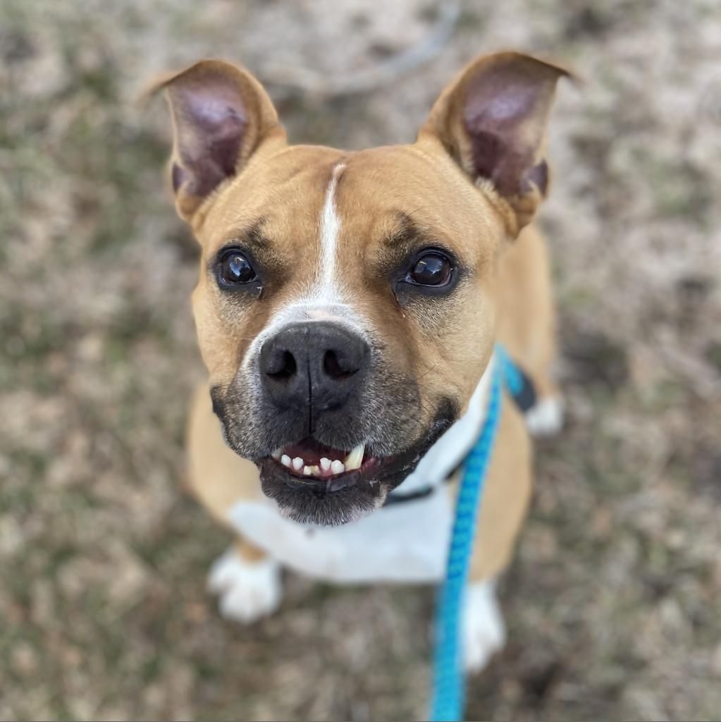 Hello my name is Zeus