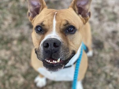 Hello my name is Zeus