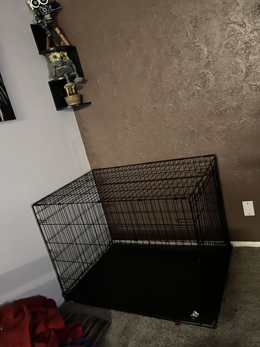 Dog kennel 