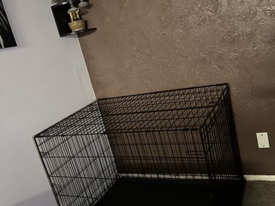 Dog kennel