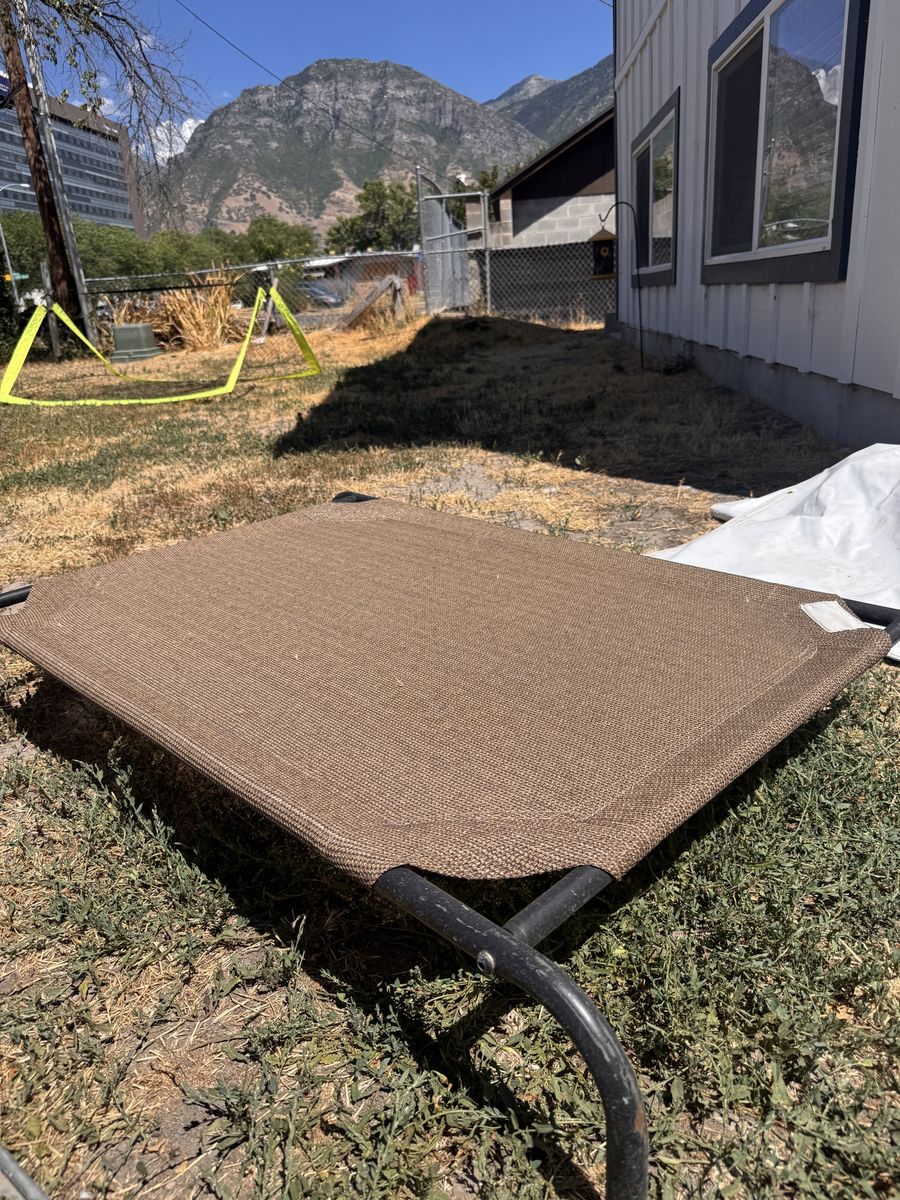 Raised Dog Bed