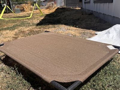 Raised Dog Bed
