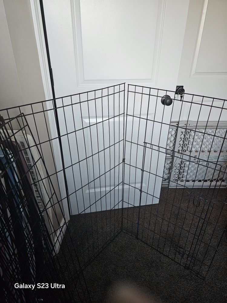 pet gate