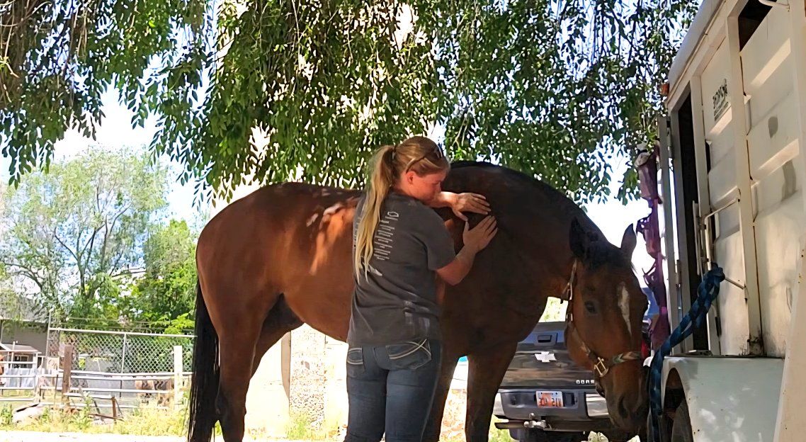 Equine Bodywork & Conditioning