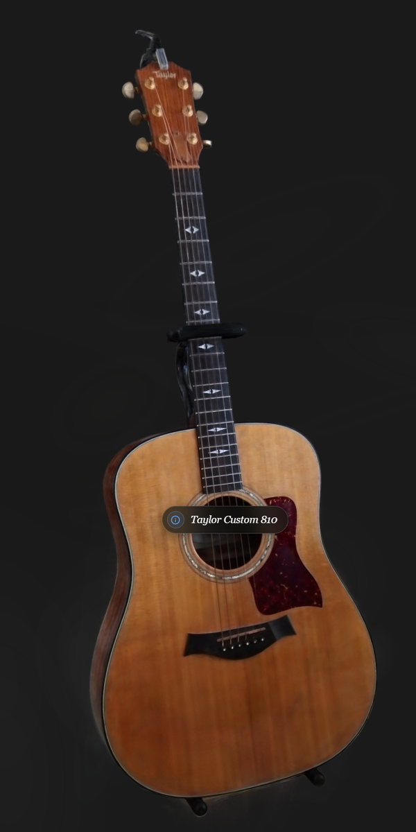 Taylor 810 Custom Acoustic Guitar