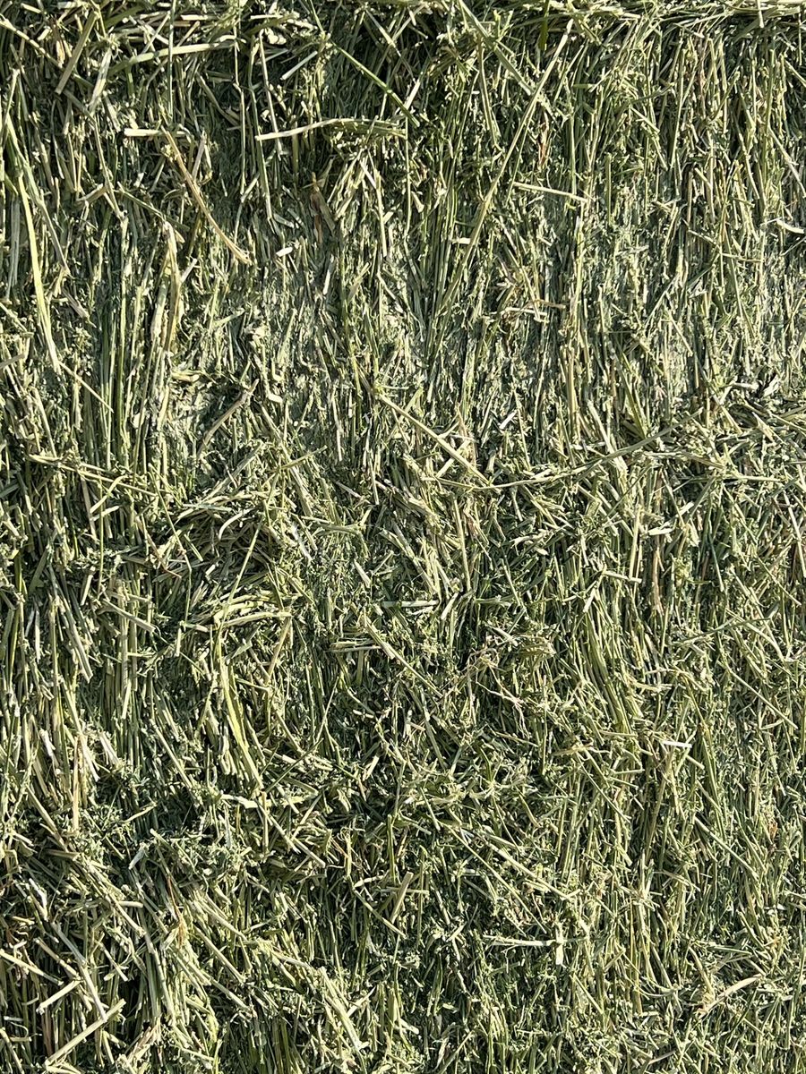 Main image 2