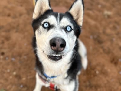 Hello my name is Maverick