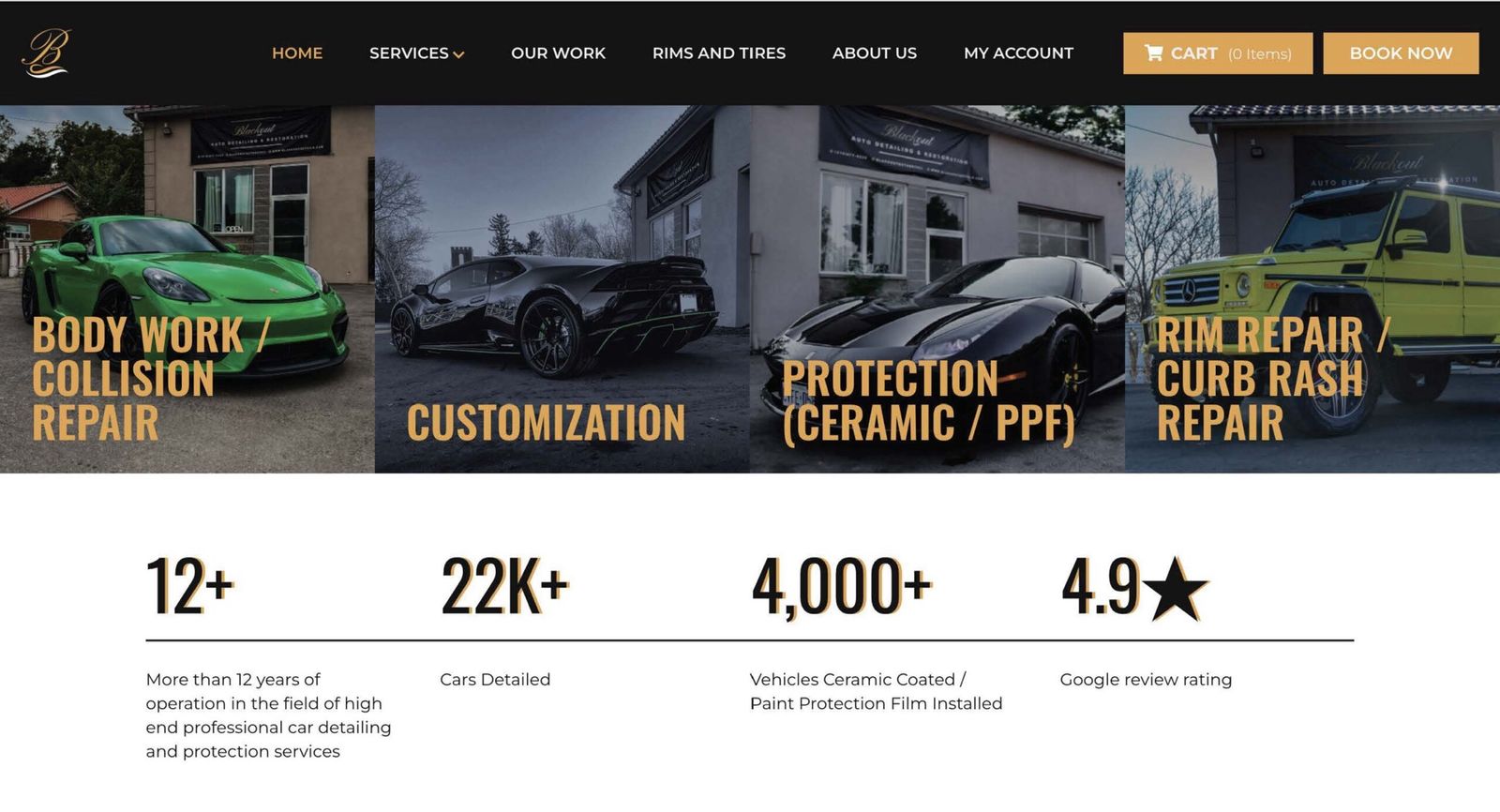 FREE Professional Website