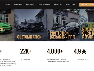 FREE Professional Website