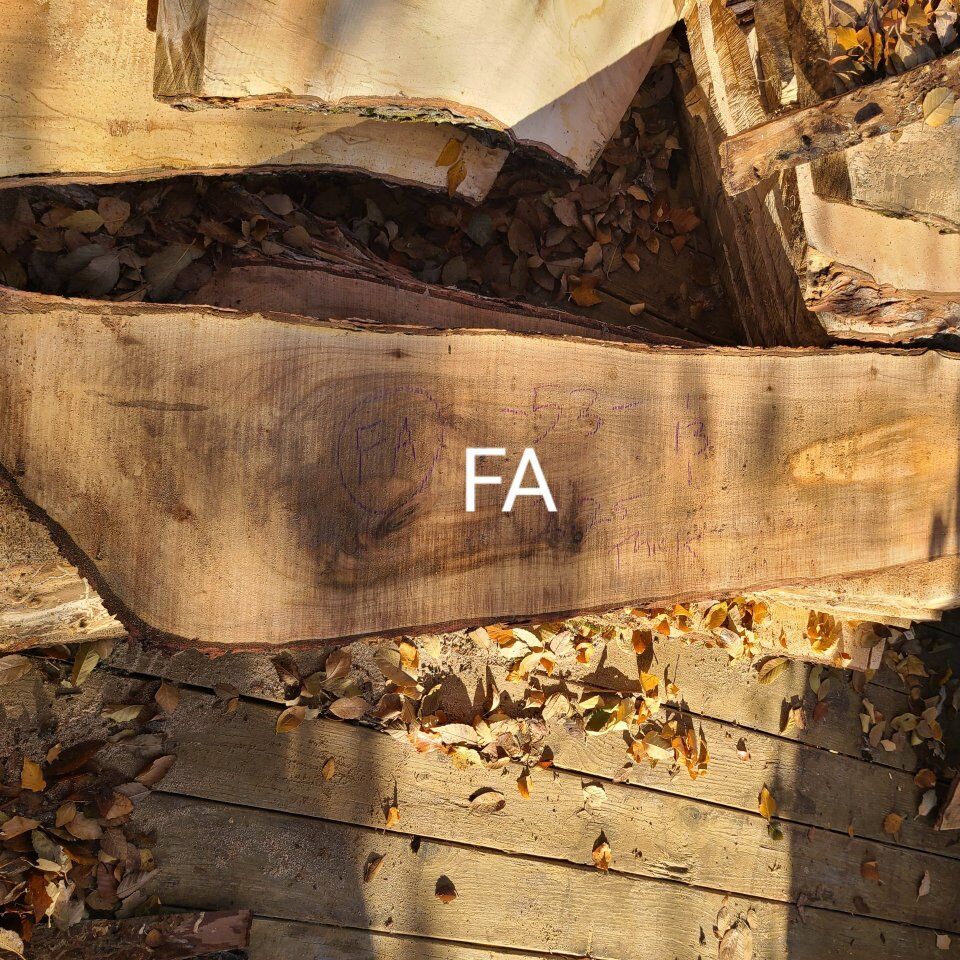 Silver Maple Slabs, Pile 9-FA-FF-$10 board foot