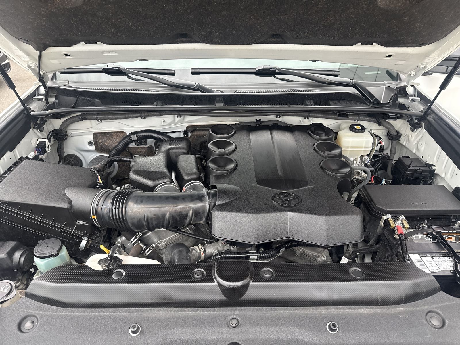 Main image 10