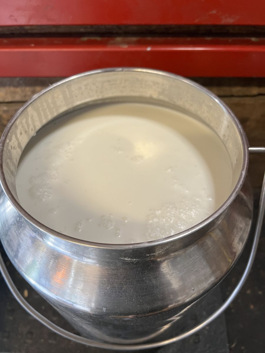 Raw Goats Milk Products