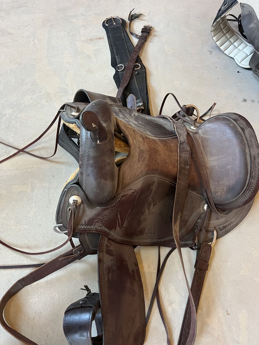 Circle Y Omaha Flex2 Trail Saddle – Excellent Condition