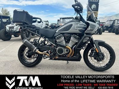 2025 Harley Davidson Pan America 1250 Special