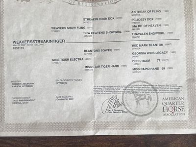 Rope Horse/ranch Horse