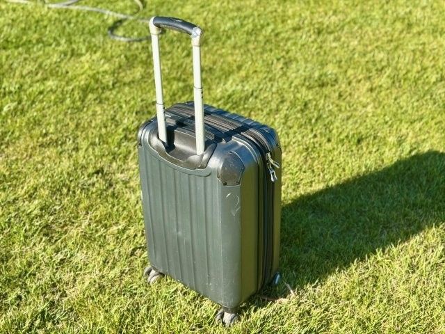 Ricardo Beverly Hills Hardshell Carry-On Luggage