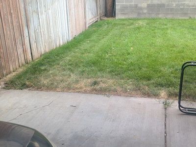 Free Sod