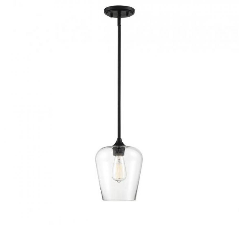 Transitional/ Modern Traditional Single Light Pendant in Black