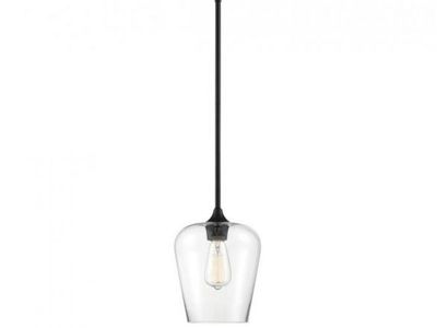 Transitional/ Modern Traditional Single Light Pendant in Black