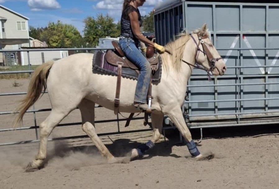 WANTED: Older riders who want to ride horses, tweens are welcome too!