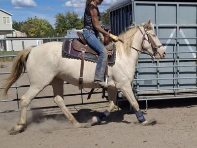 WANTED: Older riders who want to ride horses, tweens are welcome too!