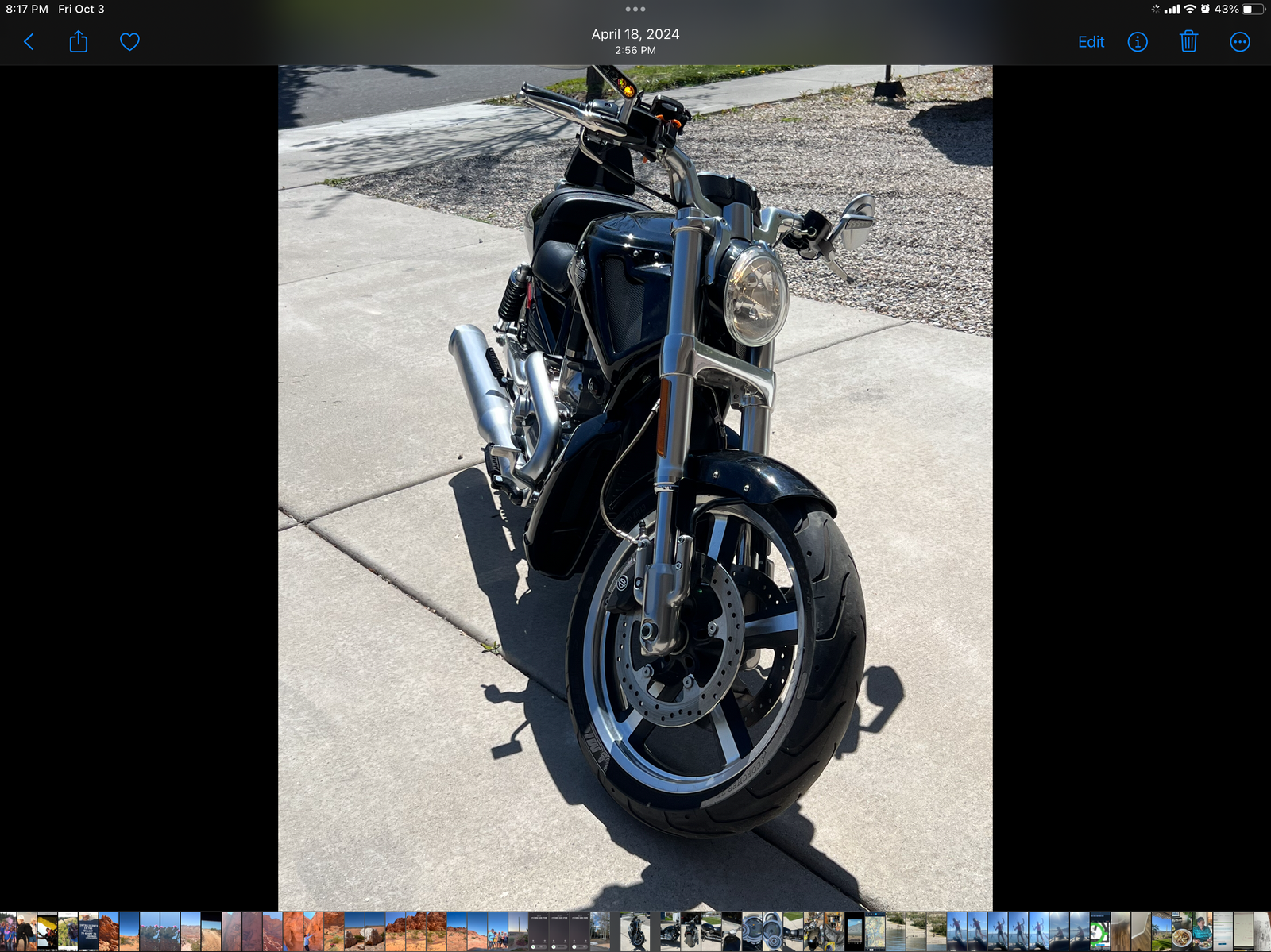 2017 Harley Davidson V-Rod Muscle