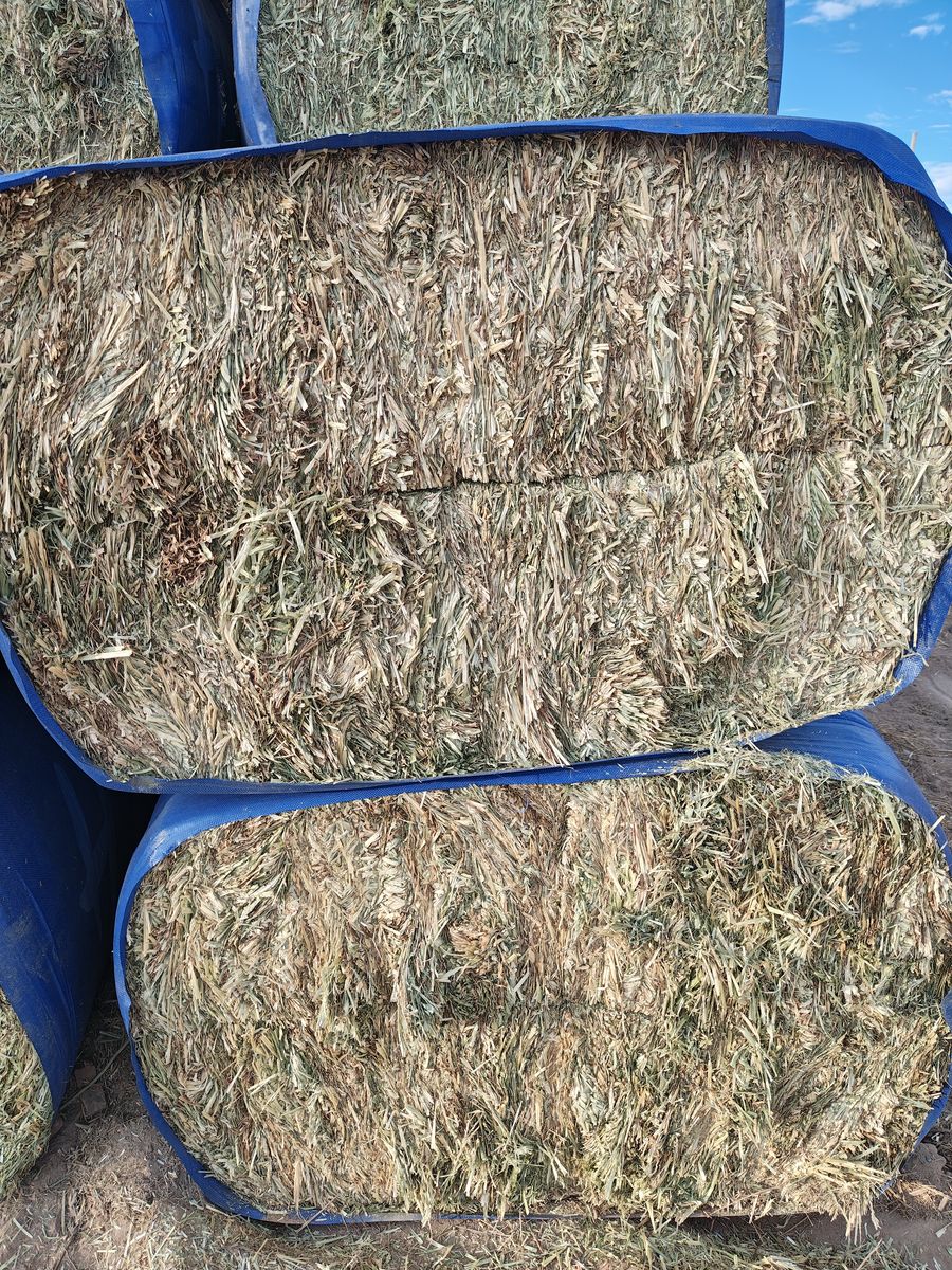 Compressed Oat Bales