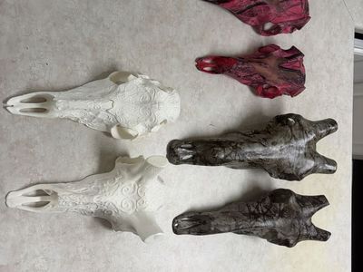 Assorted Hunting Decoys and Skull Mounts Lot