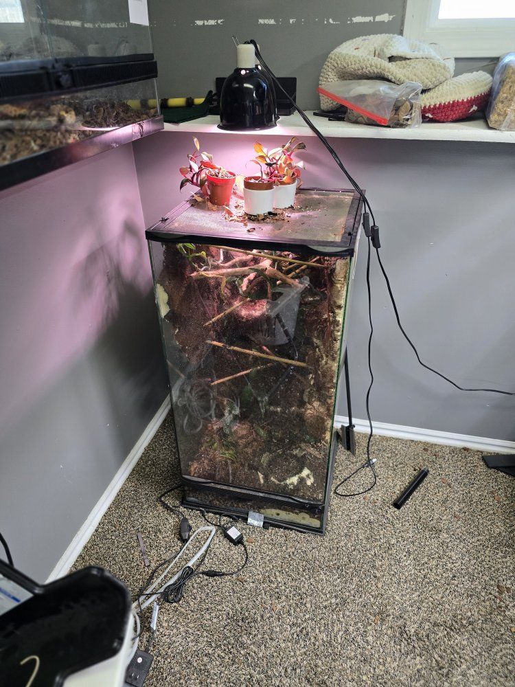 Large Tall Glass Enclosure