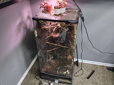 Large Tall Glass Enclosure