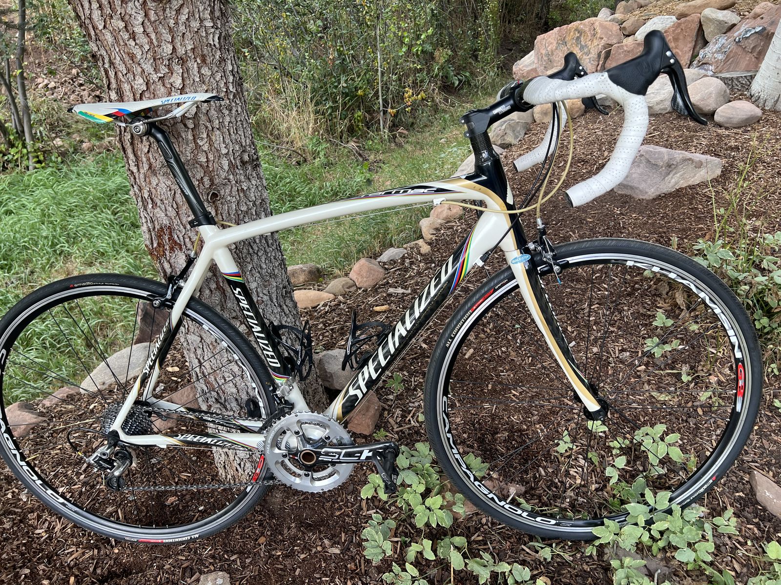 EXCELLENT CONDITION! 2007 Specialized Tarmac Team Bettini Road Bike 56cm