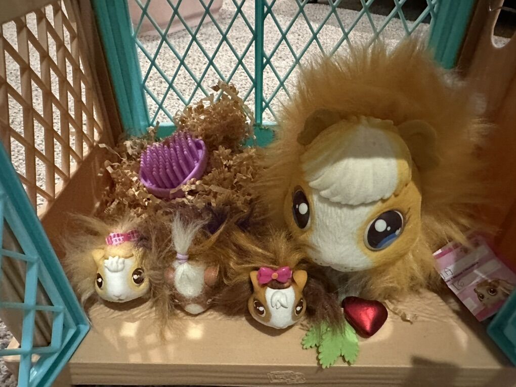 Mama Surprise Guinea Pigs