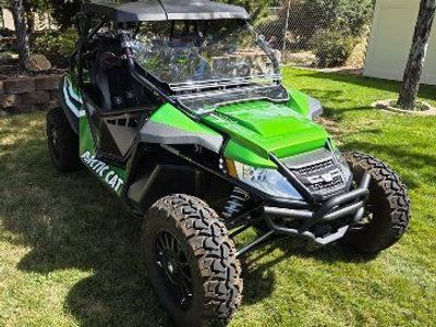 2012 Arctic Cat Wild Cat 1000 V Twin