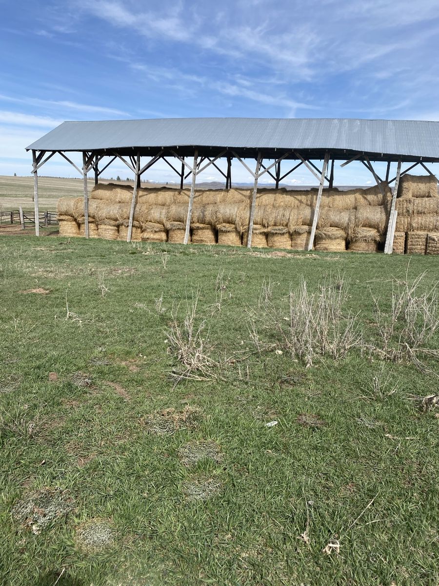 Feeder hay round bales