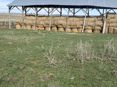 Feeder hay round bales