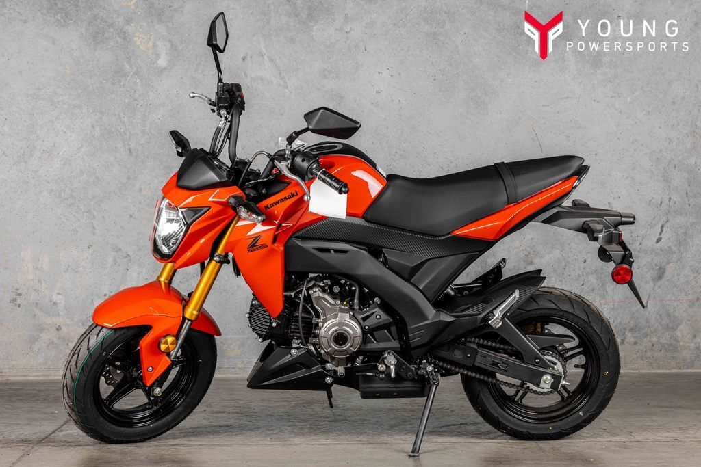 2025 Kawasaki Z125 PRO