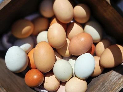 Fresh farm eggs
