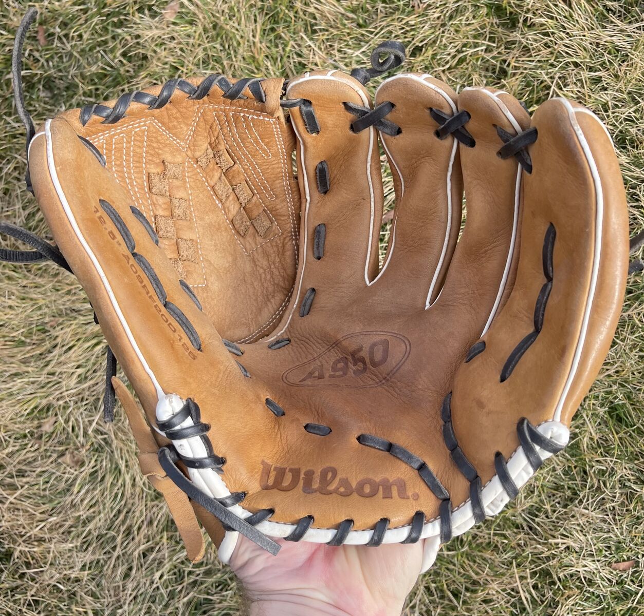Wilson 12.5 in. Baseball/Softball Glove