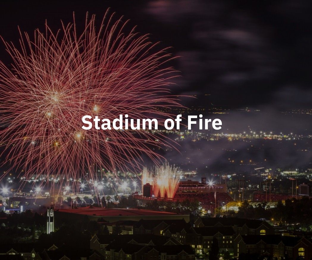 Stadium of Fire July 4th: Brad Paisley - 4 tickets