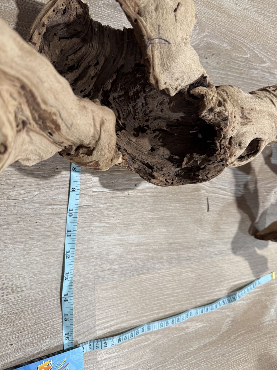 Main image 6