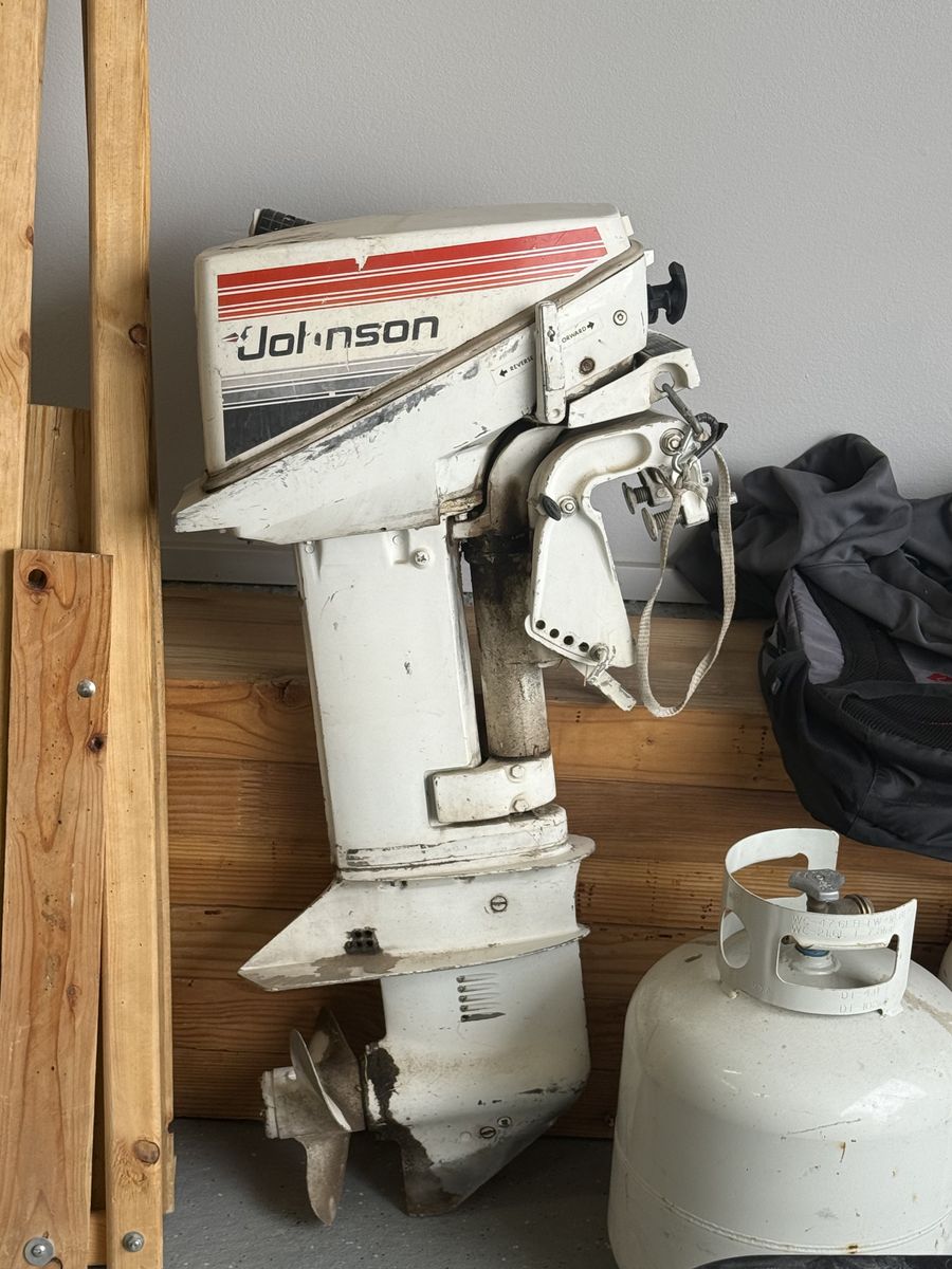 Johnson Seahorse 9.9