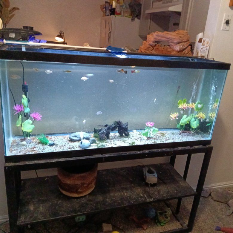 fish tank stand and everything