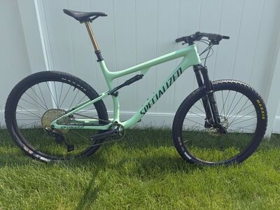 Custom 2022 Specialized Epic - Large